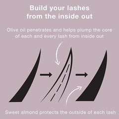 Neutrogena Healthy Volume Lash-Plumping Mascara, Volumizing and Conditioning Mascara with Olive Oil to Build Fuller Lashes, Clump-, Smudge- and Flake-Free, Brown/Black 03, 0.21 oz